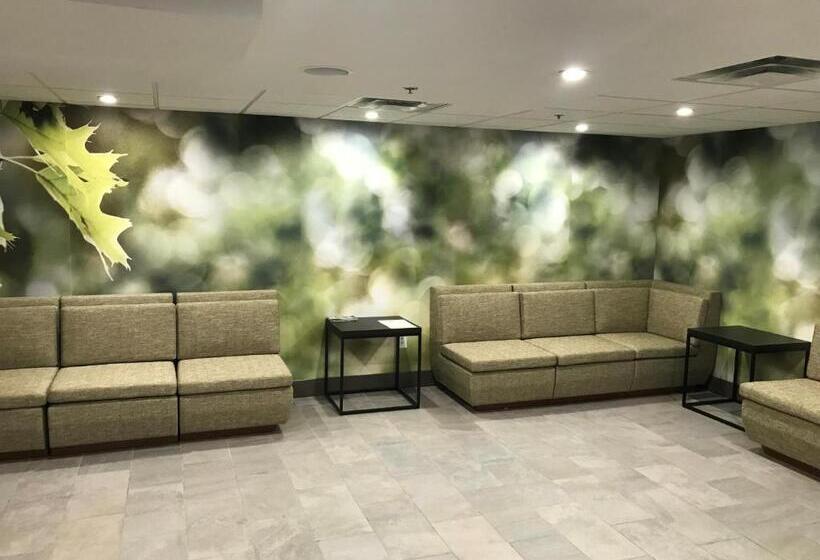 בית מלון כפרי Wyndham Garden Marietta Atlanta North