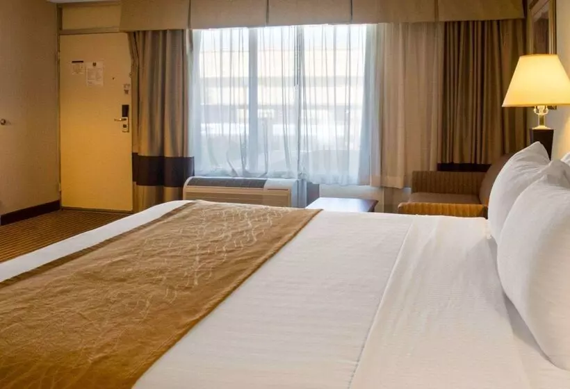 ホテル Clarion Inn