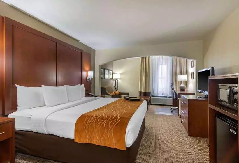 فندق Comfort Inn & Suites Springfield I 44
