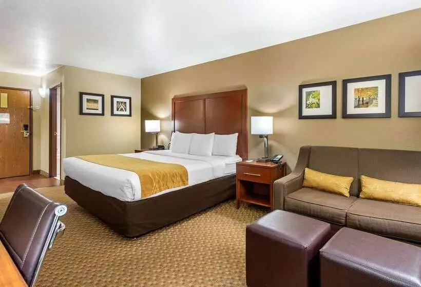 فندق Comfort Inn & Suites Springfield I 44