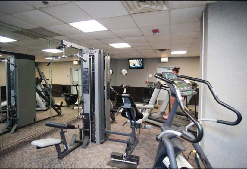 Emerald Beach Hotel Corpus Christi