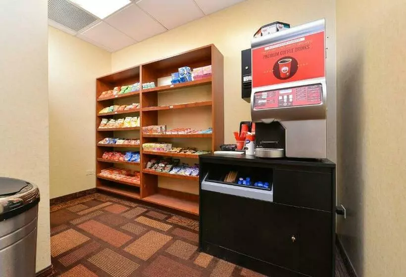 Отель Holiday Inn Mount Prospectchicago