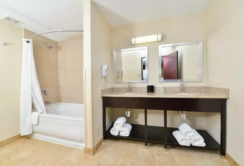 Отель Holiday Inn Mount Prospectchicago