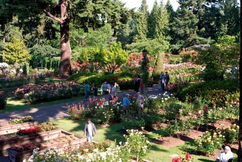 Szálloda Holiday Inn Portland Airport I 205, An Ihg