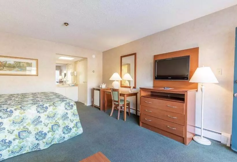 Отель Impala Island Inn