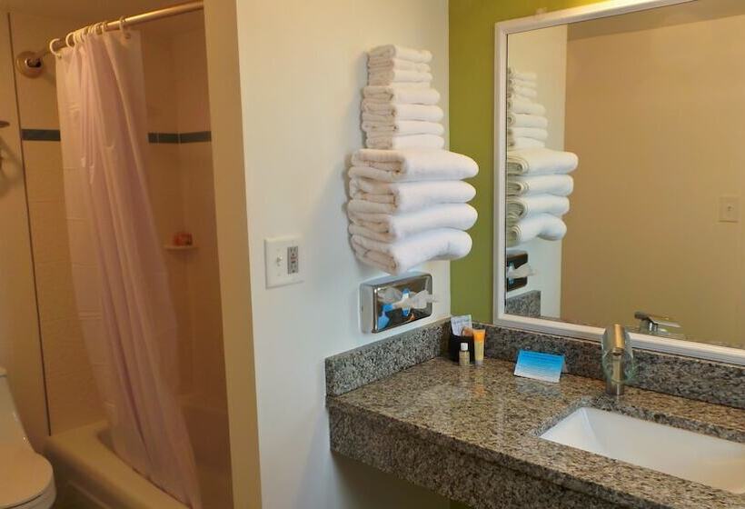 فندق Island House