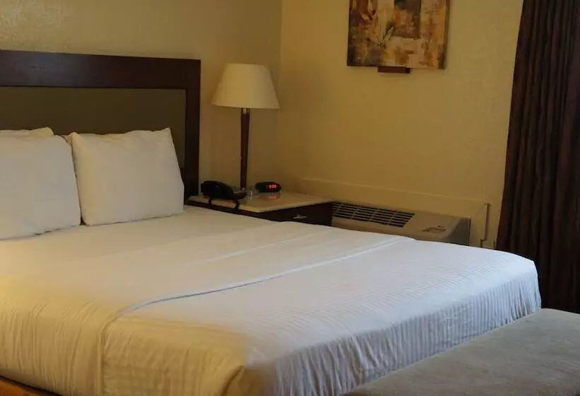 בית מלון כפרי Lexington Inn & Suites Nw Chicago Elgin