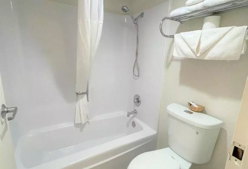 فندق Lulu Silver City