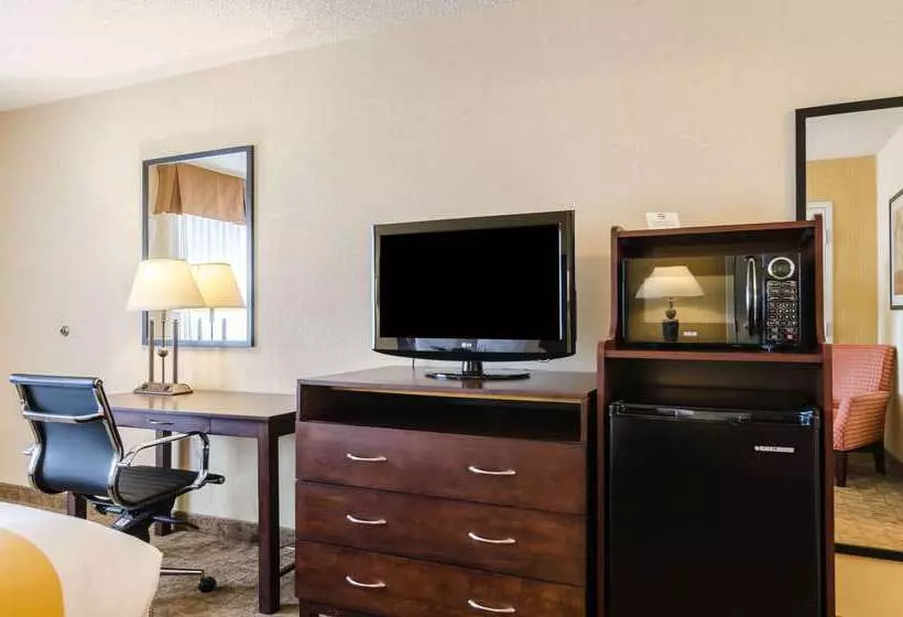 Otel Quality Inn & Suites