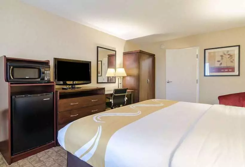 Otel Quality Inn & Suites