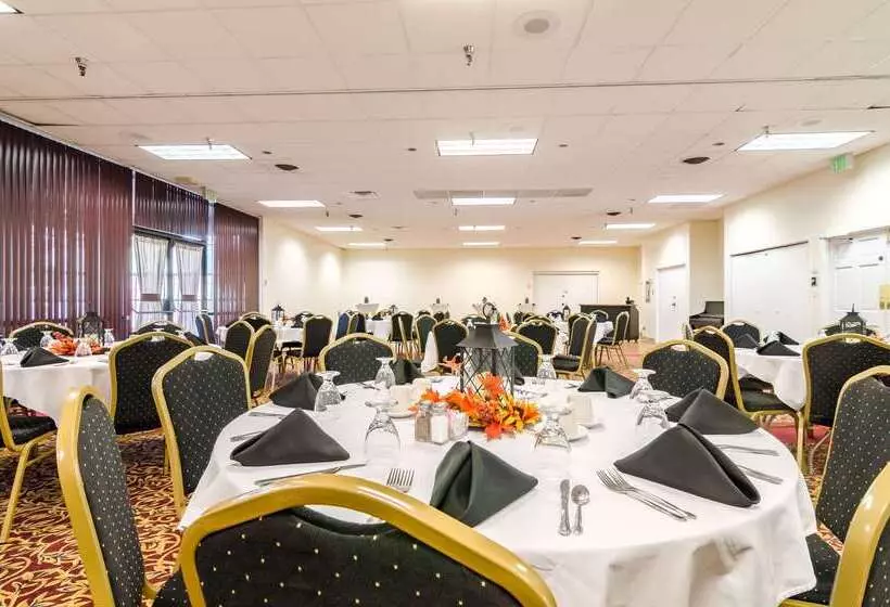 Otel Quality Inn & Suites