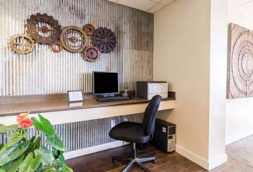 Otel Quality Inn & Suites