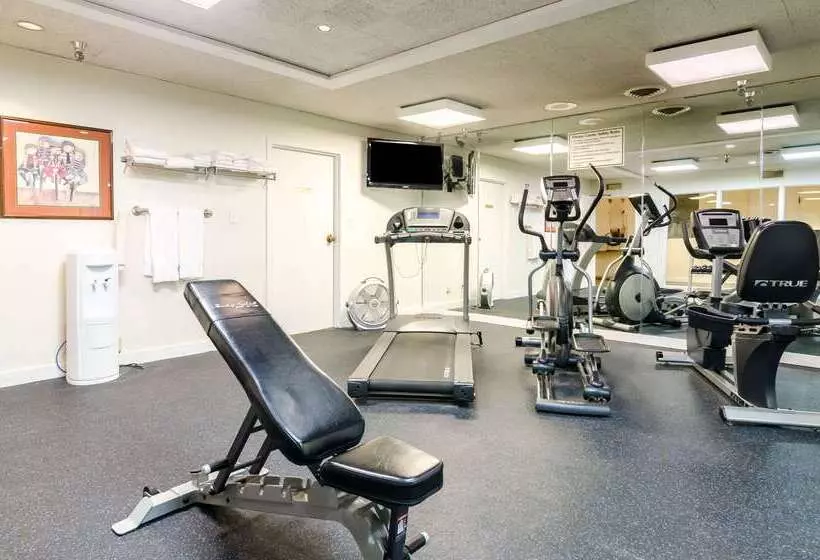 Otel Quality Inn & Suites