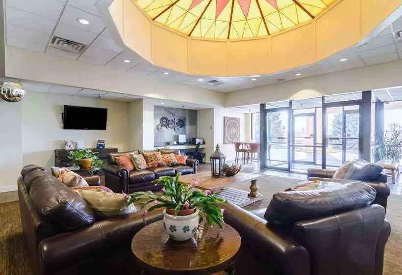 Otel Quality Inn & Suites