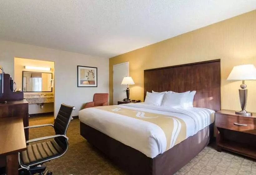 Otel Quality Inn & Suites