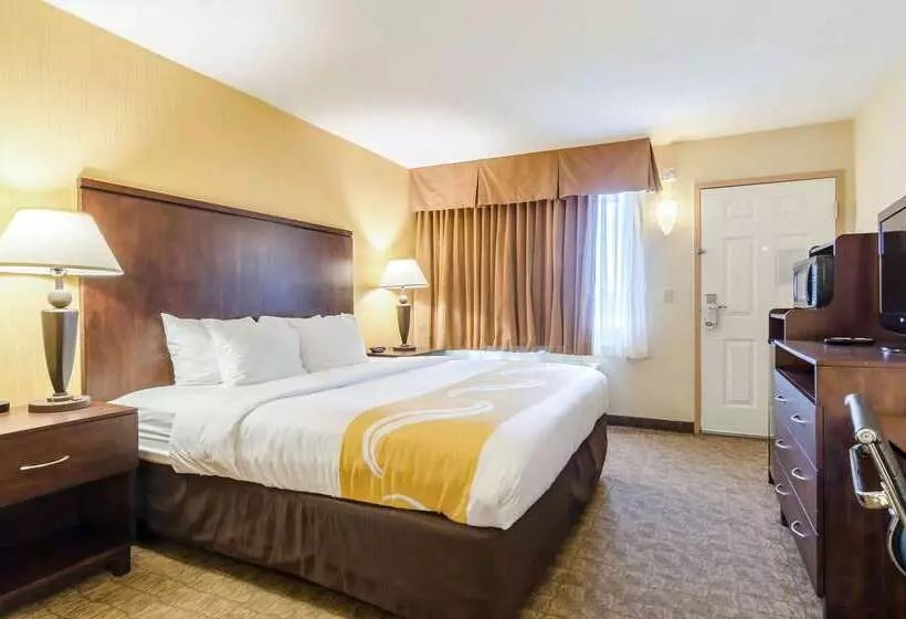 Otel Quality Inn & Suites