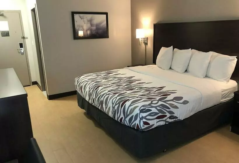 Hotel Red Roof Inn Norwich