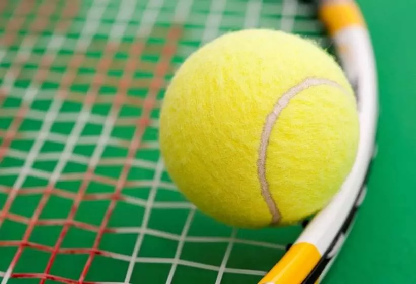 호텔 Sheraton Tampa Brandon