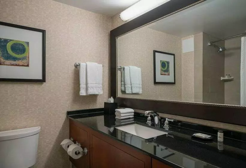 Sheraton Kansas City Hotel At Crown Center