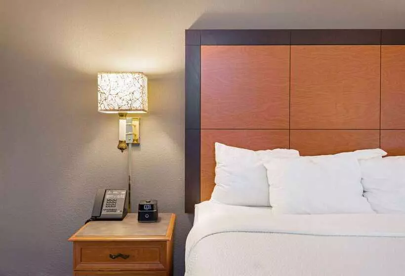 Szálloda La Quinta Inn By Wyndham San Antonio I35 N At Toepperwein