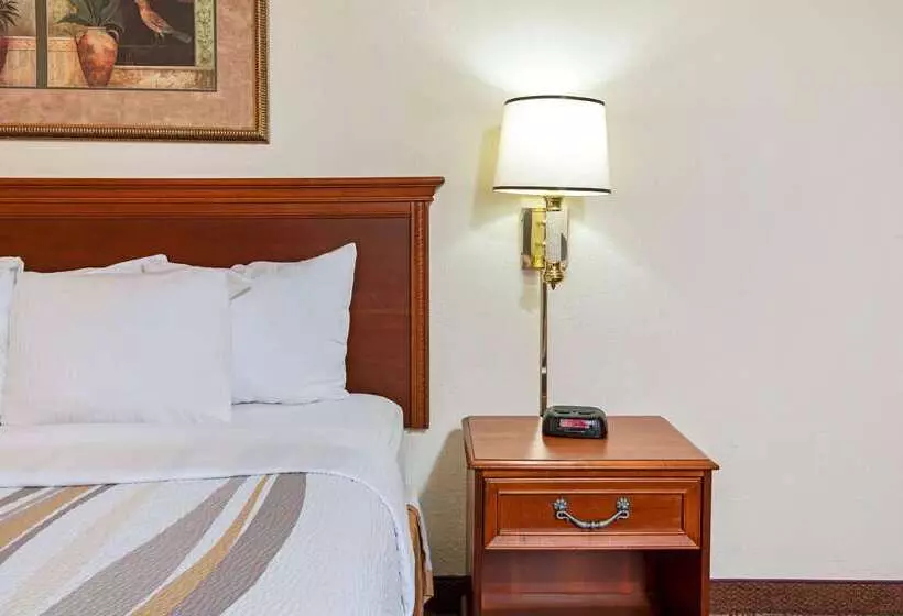 فندق La Quinta Inn By Wyndham San Antonio Lackland