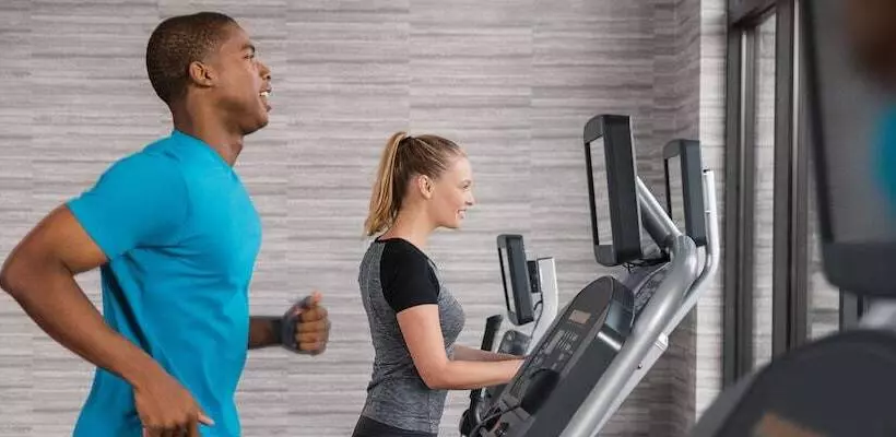 Hotel Courtyard By Marriott Lyndhurst/meadowlands