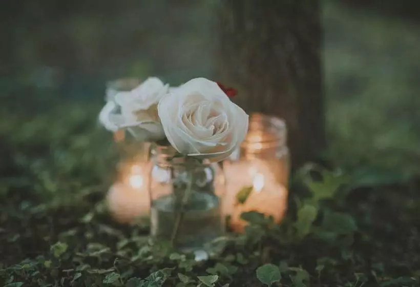 Plaza San Antonio Hotel & Spa, Autograph Collection