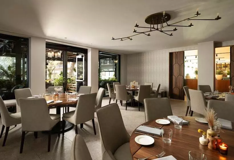 Plaza San Antonio Hotel & Spa, Autograph Collection