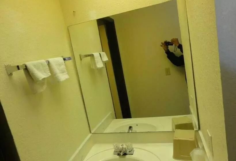 酒店 Budget Inn Selma