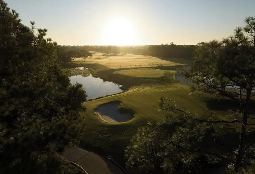 Saddlebrook Resort