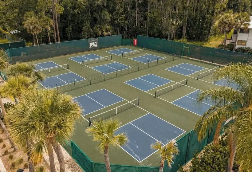 Saddlebrook Resort