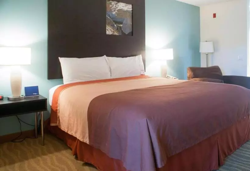 汽车旅馆  Super 8 By Wyndham Indio