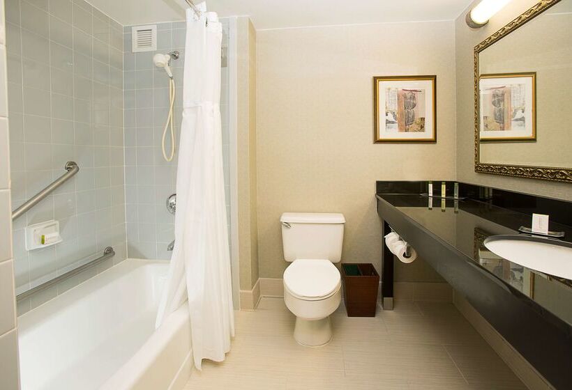 ホテル Doubletree By Hilton Detroit Novi