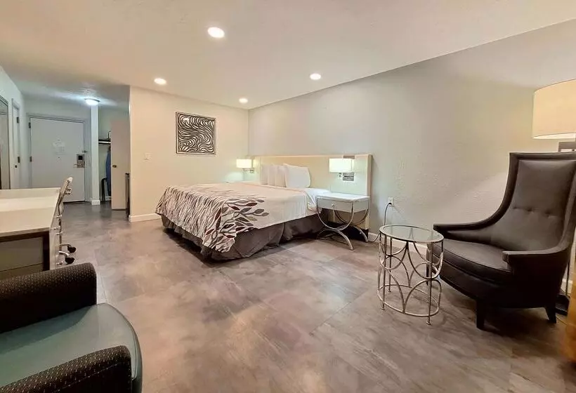 ホテル Travelodge By Wyndham Indianapolis Speedway