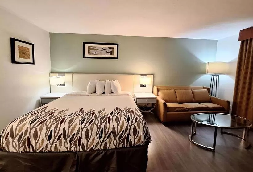 ホテル Travelodge By Wyndham Indianapolis Speedway