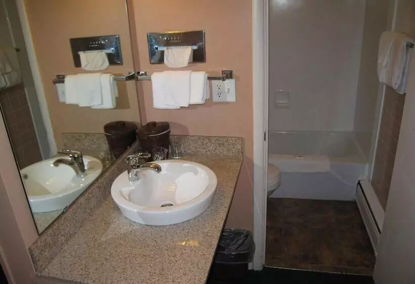 Travelers Lodge Motel Marshall