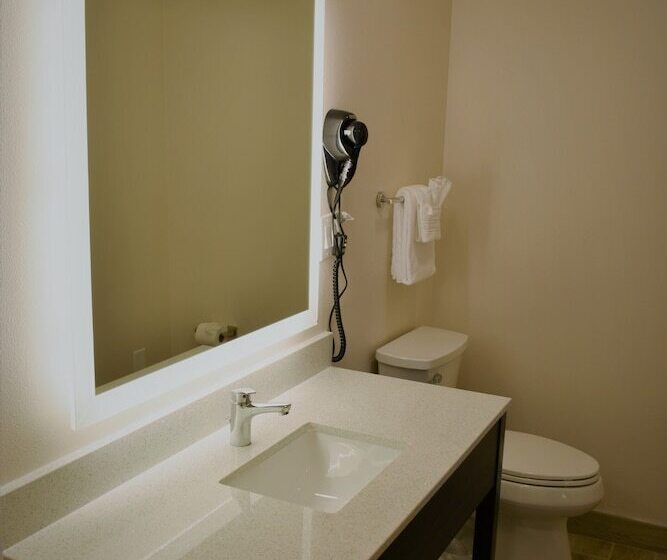 ホテル Travelodge By Wyndham Santa Rosa Wine Country