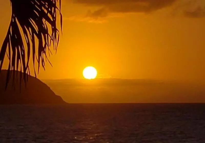 Carambola Beach Resort St. Croix, Us Virgin Islands