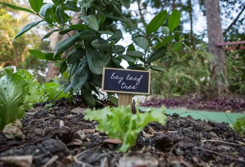 Colony Club By Elegant Hotels