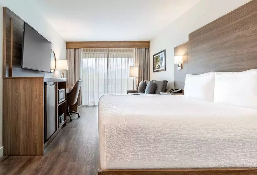 Atrium Hotel Vancouver