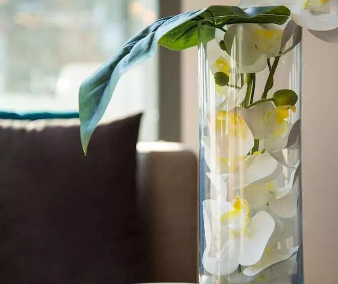 Dc Hotel International