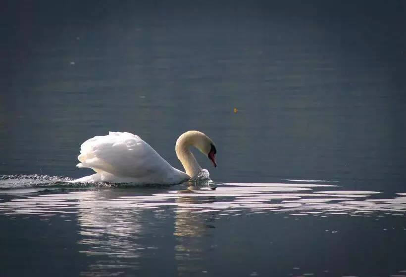 فندق Seefischer   Finest Hideaway