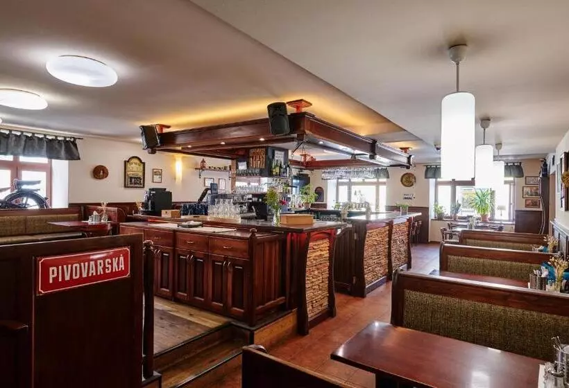 בית מלון כפרי Zlatá Hvězda