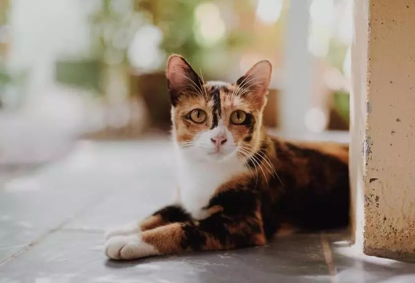 Lomakeskus Green Garden