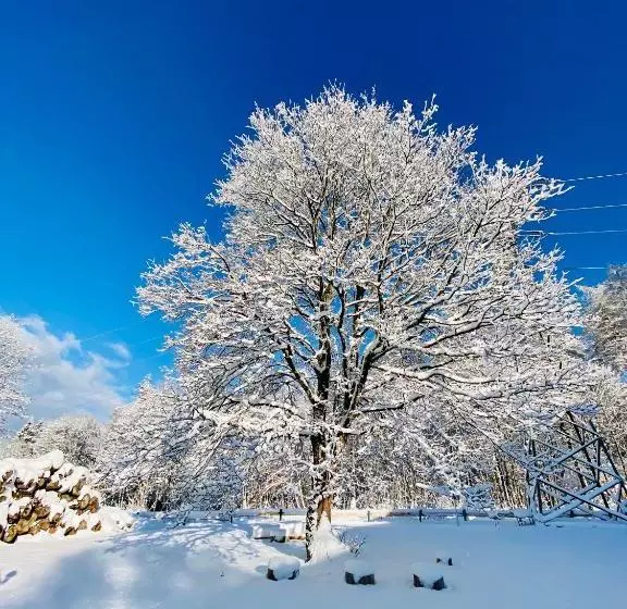 Отель Gästehaus Hohetanne1