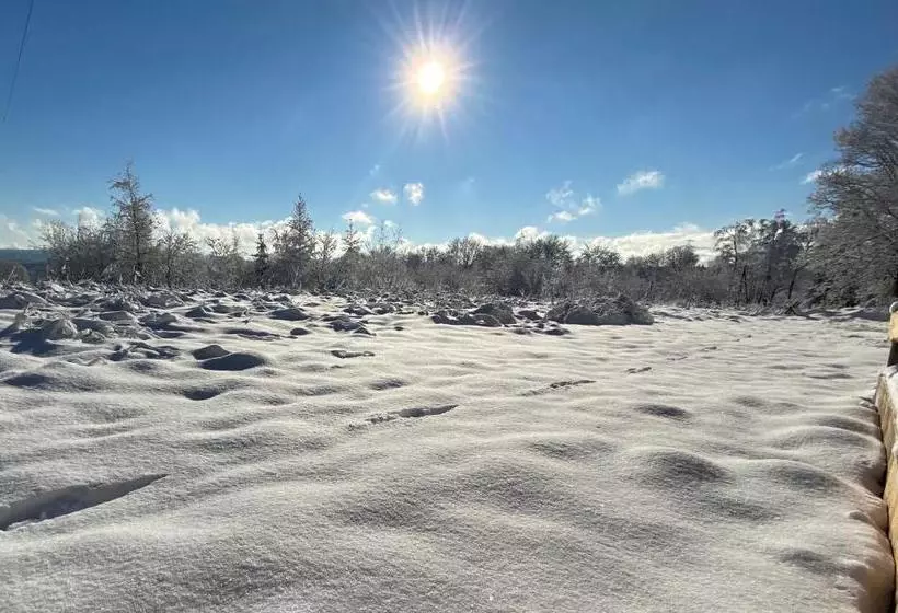 Отель Gästehaus Hohetanne1