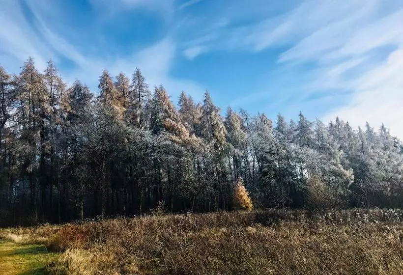 Отель Gästehaus Hohetanne1