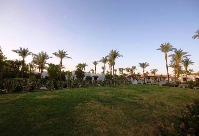 Royal Holiday Beach Resort Sharm El Sheikh