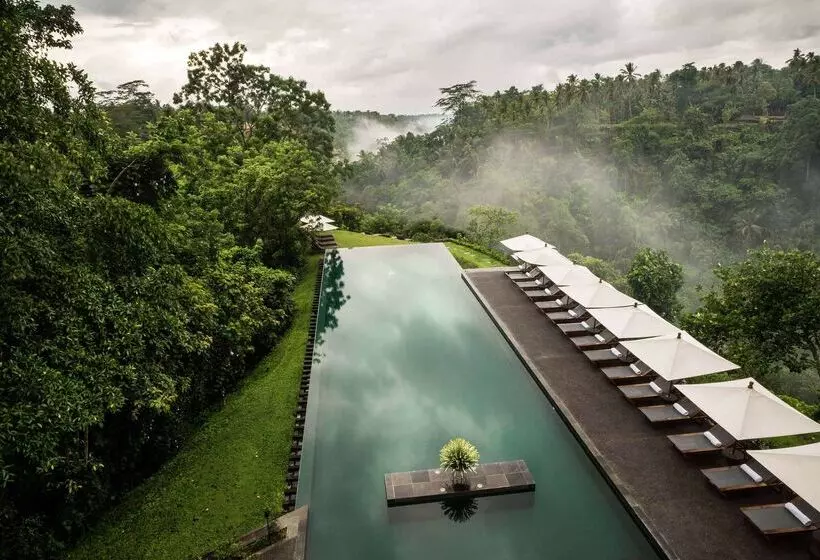 Hotel Alila Ubud