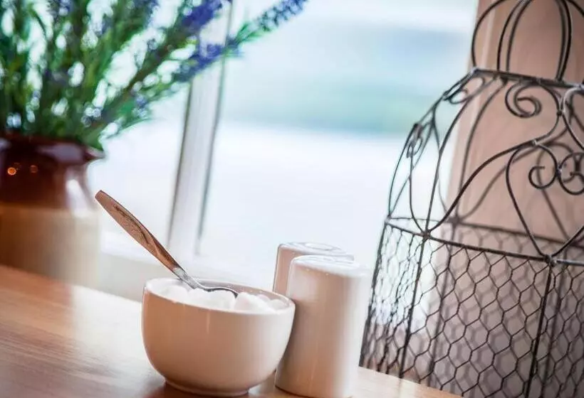 酒店 The First Hurdle Guest House